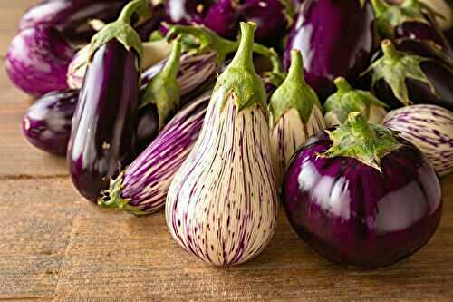 J’ai testé plusieurs variétés d’aubergines (voici celles que je recommande vraiment)
