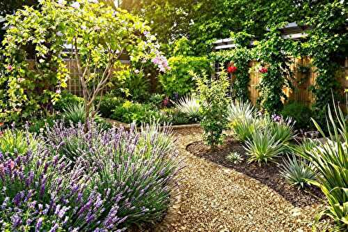 Les conseils de grand-mère pour un jardin résistant à la sécheresse