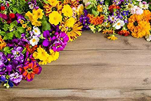 Les erreurs que j’ai faites en testant les fleurs comestibles