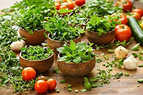 Les herbes que je cultive pour faire des marinades maison bluffantes