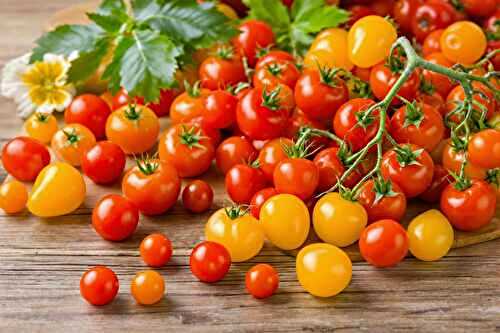 Les tomates cerises les plus savoureuses que j’ai jamais goûtées