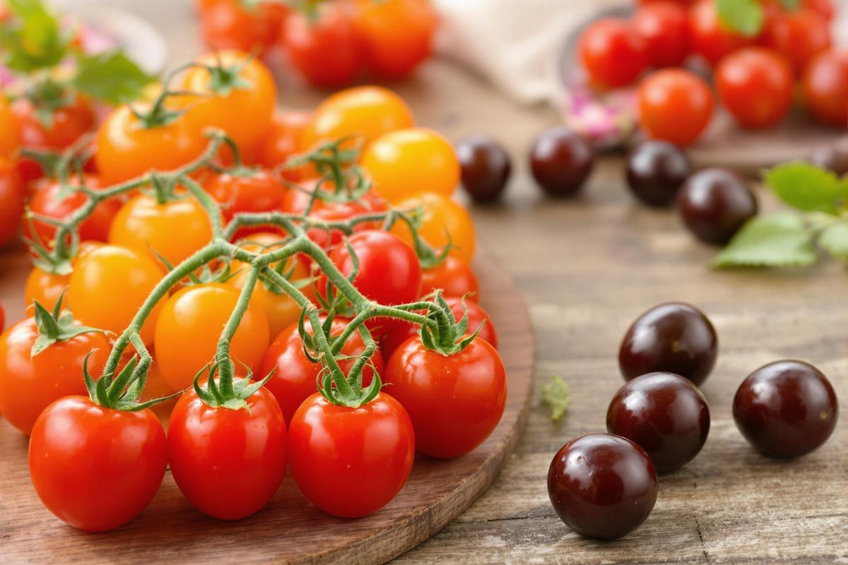 Les tomates cerises les plus sucrées que j’ai goûtées (et où les trouver)