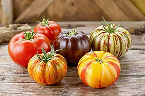 Les variétés de tomates que je cultive pour des farcies parfaites