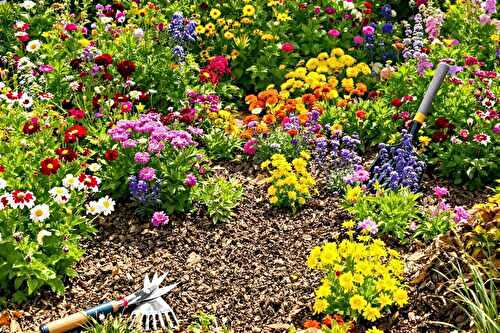 Mes astuces pour redonner vie à un jardin fatigué après l’été