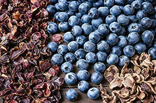 Myrtilles fraîches, surgelées ou séchées : ce que j’utilise selon mes recettes
