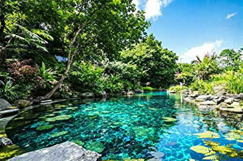 Piscine naturelle ou classique ? J’ai changé d’avis après cette expérience