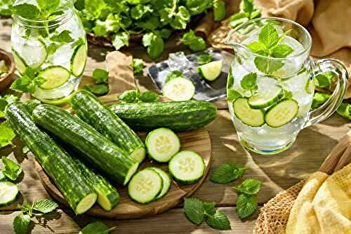 Pourquoi je mange du concombre tous les jours l’été (et ce que ça a changé pour moi)
