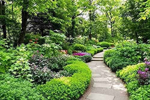 Pourquoi les couvre-sols sont devenus mes alliés au jardin