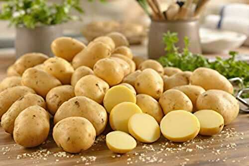 Quelle pomme de terre pour quelle recette ? Mon guide ultime après plusieurs ratés