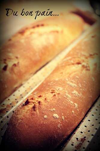 Baguettes (comme chez le boulanger!!) mais bio!