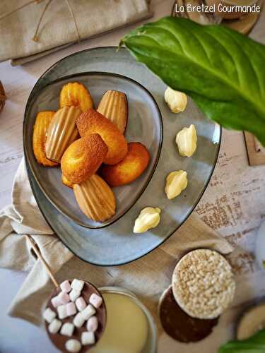 Petites madeleines enrobées ou nature