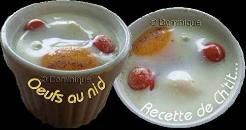 OEUFS AU NID