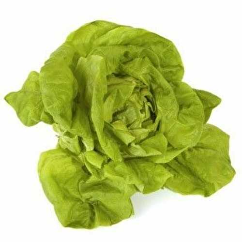 SALADE