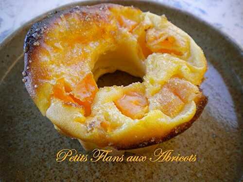 Flan aux abricots