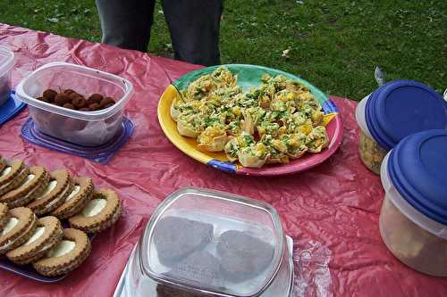 La rencontre gourmande des bloggeuses de Montréal...et ma participation le gâteau aux questches polonais