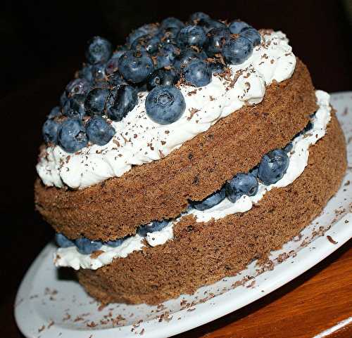 Shortcake aux bleuets...légèrement chocolaté