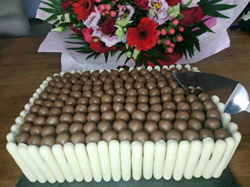 Gâteau d’anniversaire au chocolat, Maltesers et biscuits Finger - La cuisine d'Elyano