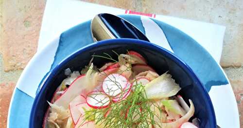 Salade de fenouil aux radis 