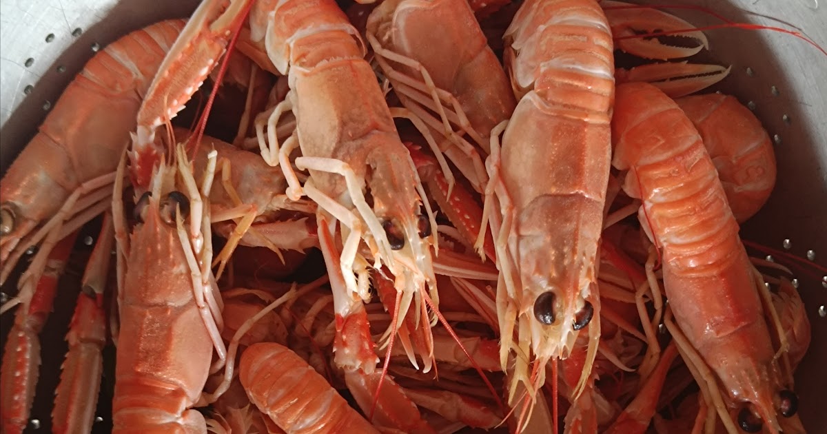 Langoustines au court-bouillon 