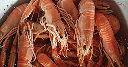 Langoustines au court-bouillon 