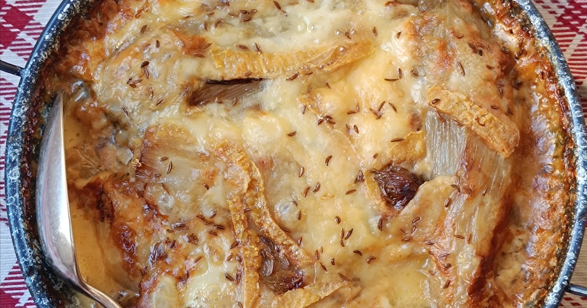 Gratin d'endives au Maroilles