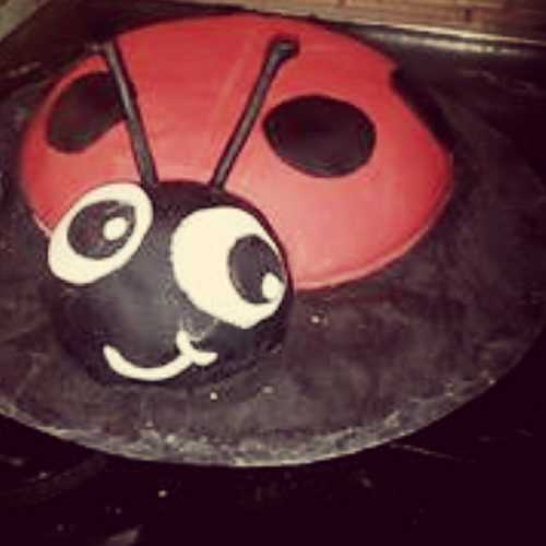 Gâteau 3D coccinelle