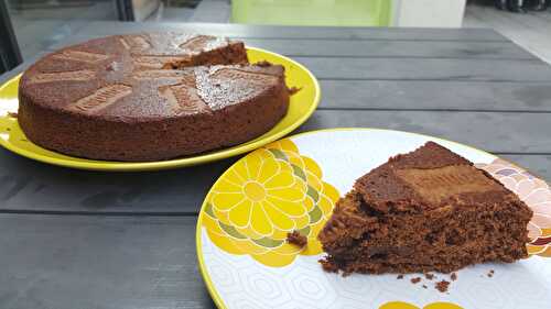 Moelleux au chocolat et spéculoos