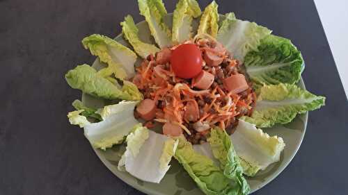 Salade de lentilles, knakis, carottes et céleri