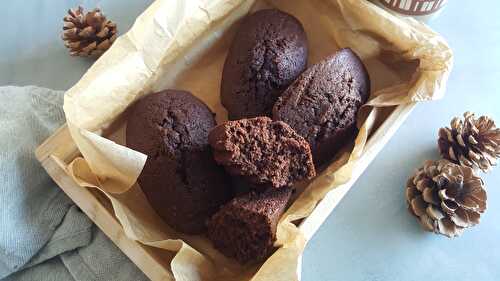 Gâteau façon madeleine au lait ribot et chocolat