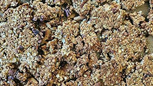 Granola croustillant