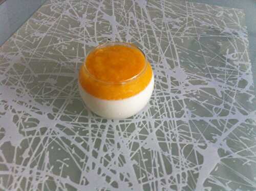 Panna Cotta Mangue