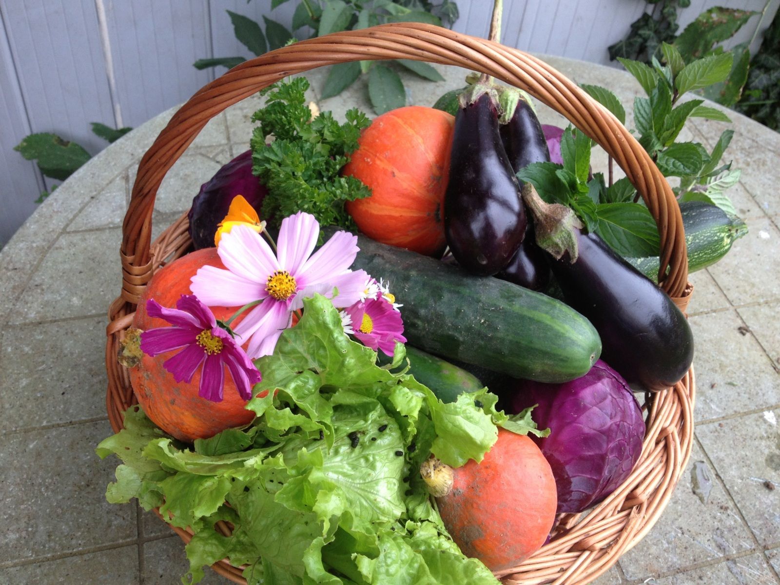 Associez vos légumes du jardin pour les protéger (suite) - 🥗 La Cuisine de Coco 🍜