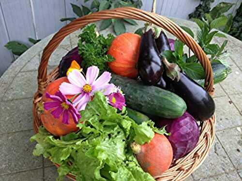 Associez vos légumes du jardin pour les protéger (suite) - 🥗 La Cuisine de Coco 🍜