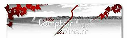 Au Comptoir des Vins - 🥗 La Cuisine de Coco 🍜