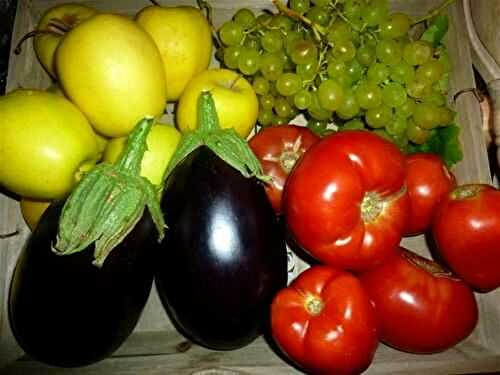 Au jardin : les récoltes ... - 🥗 La Cuisine de Coco 🍜