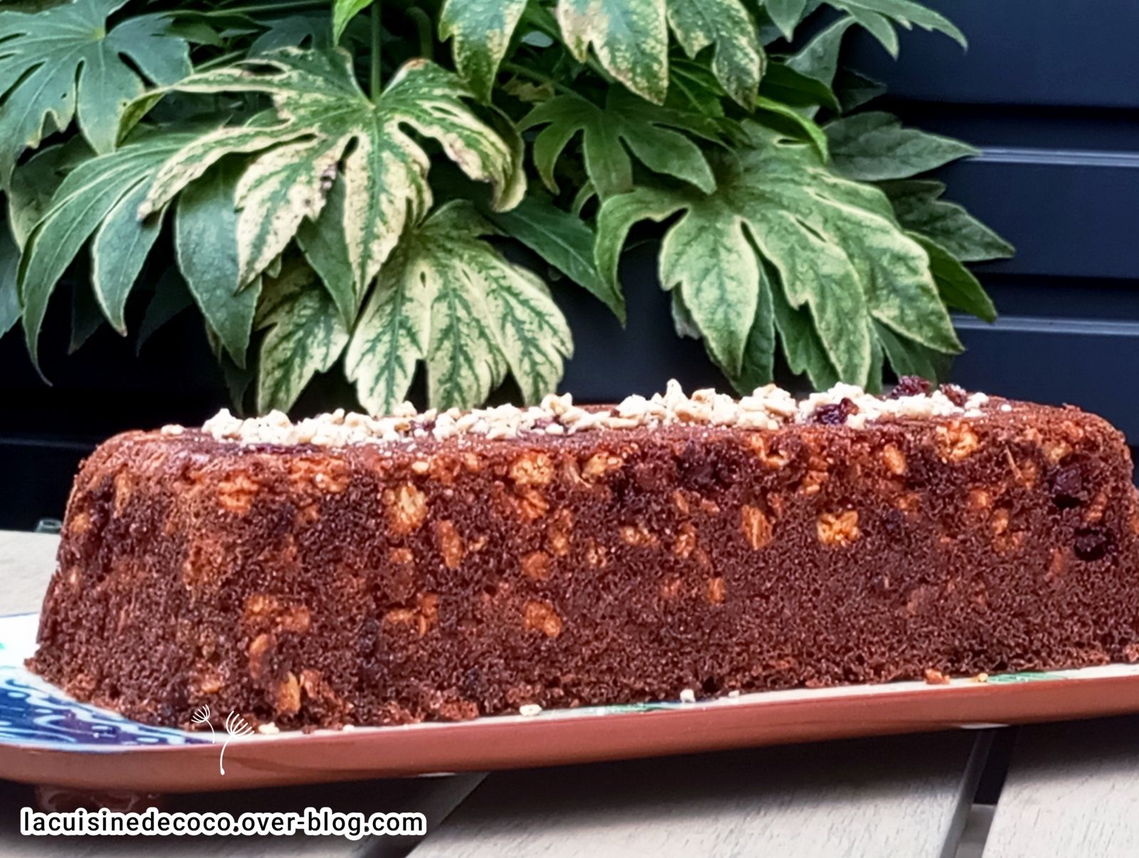 Cake au Müesli aux pépites de chocolat - 🥗 La Cuisine de Coco 🍜