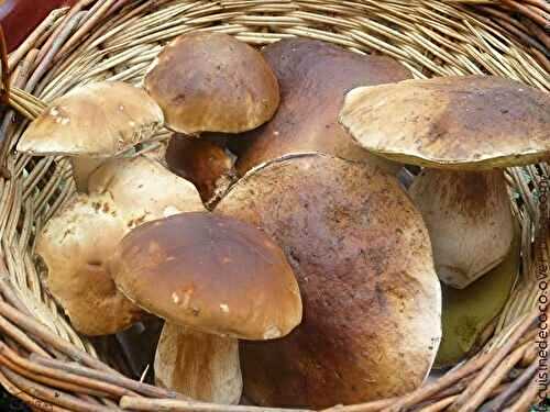 Cueillettes de champignons - 🥗 La Cuisine de Coco 🍜