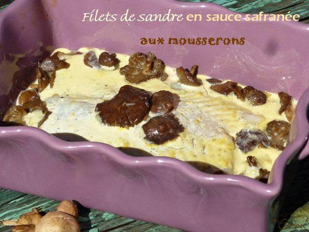 Filets de sandre en sauce safranée aux mousserons - 🥗 La Cuisine de Coco 🍜