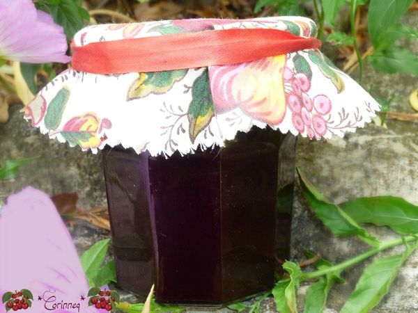 Gelée de cerises rapide (sans extracteur de jus) - 🥗 La Cuisine de Coco 🍜