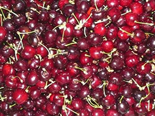 La cueillette des cerises - 🥗 La Cuisine de Coco 🍜