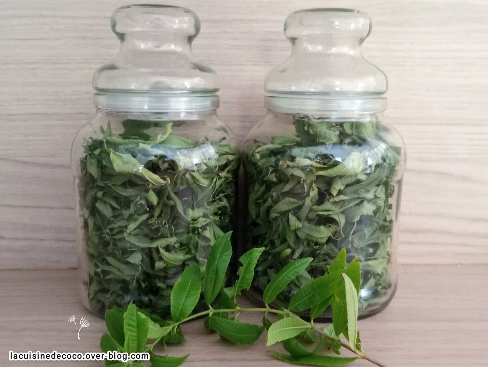 La verveine citronnelle  - 🥗 La Cuisine de Coco 🍜