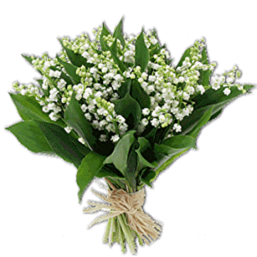 Le muguet - 🥗 La Cuisine de Coco 🍜
