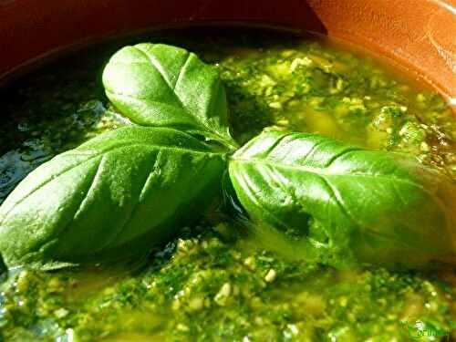 Le Pesto maison - 🥗 La Cuisine de Coco 🍜