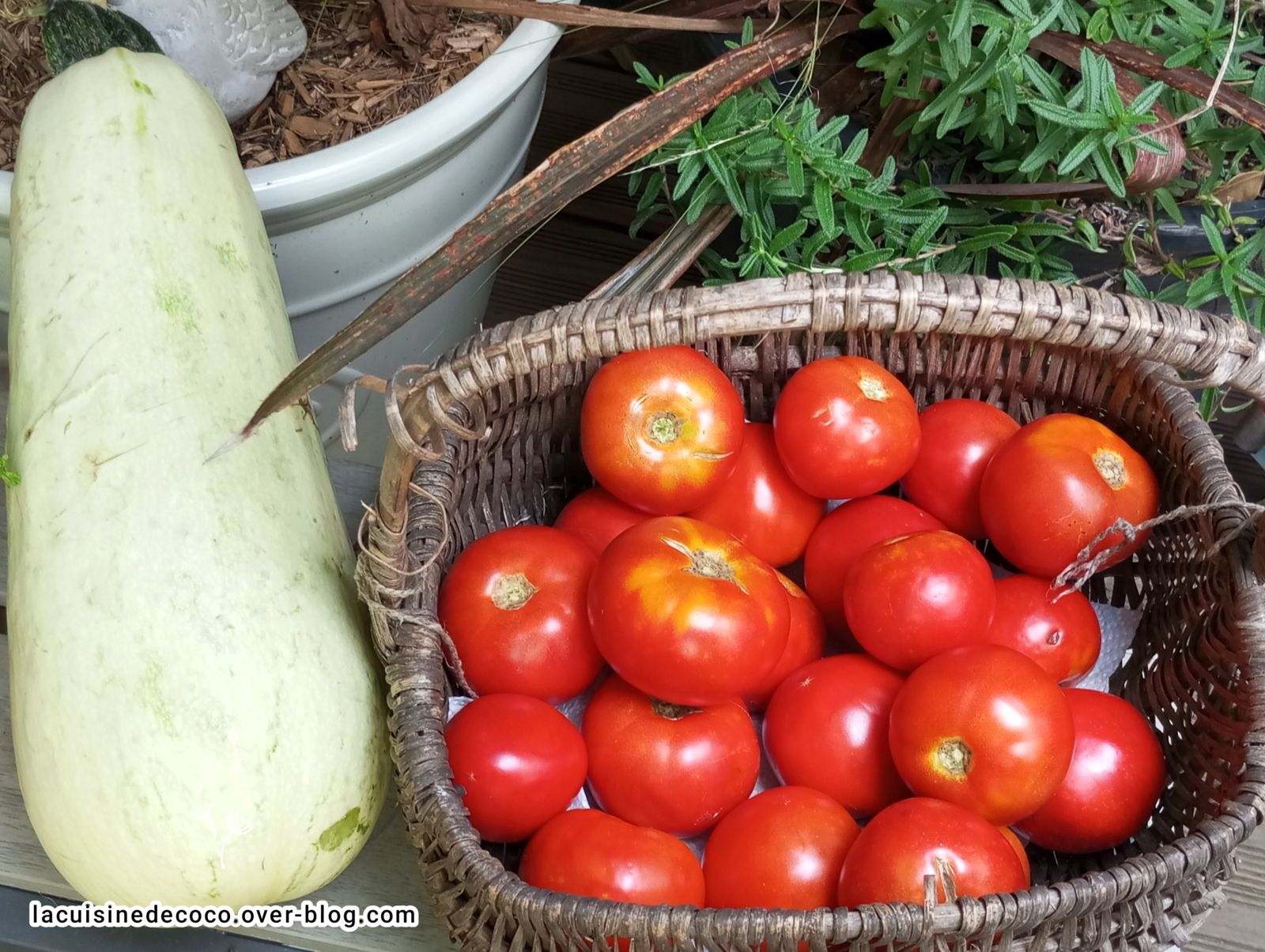 Les légumes du potager et recettes - 🥗 La Cuisine de Coco 🍜