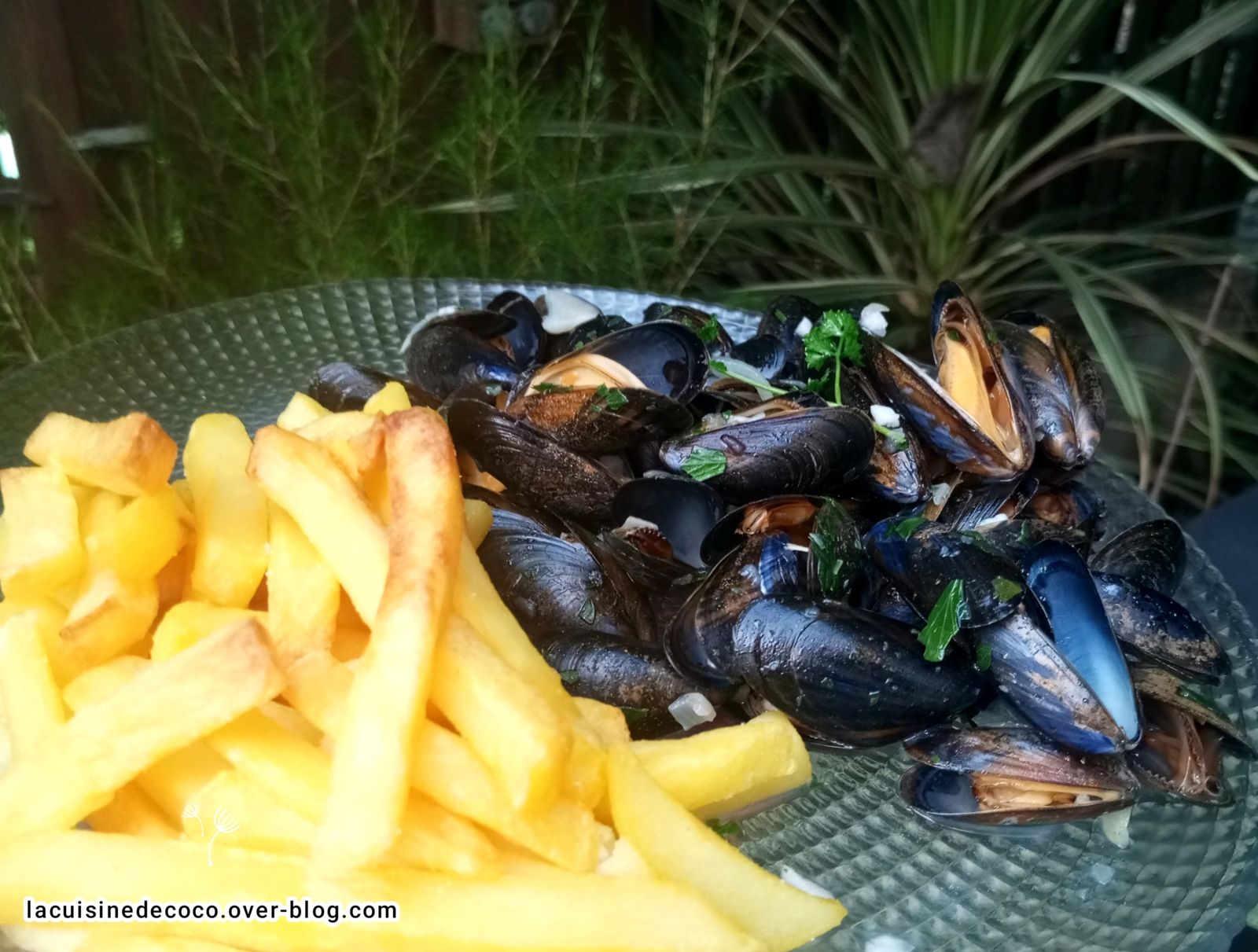 Moules marinières - 🥗 La Cuisine de Coco 🍜