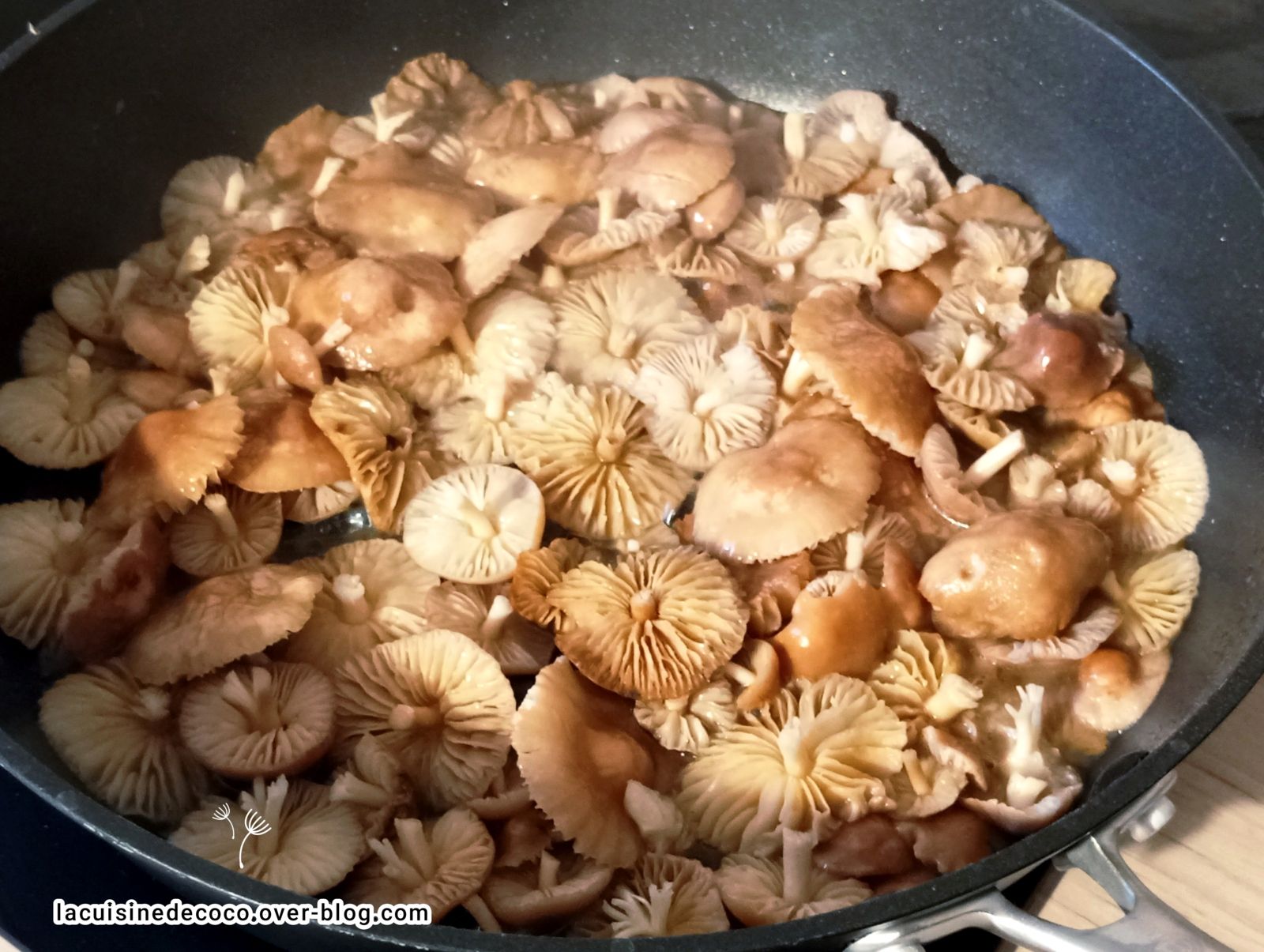 Omelette aux Mousserons et pommes de terre - 🥗 La Cuisine de Coco 🍜