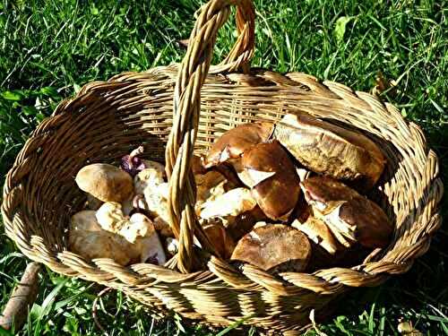 Panier de champignons - 🥗 La Cuisine de Coco 🍜