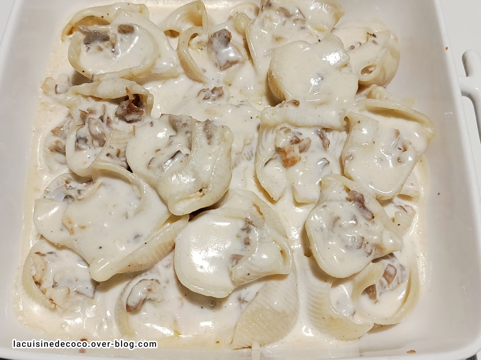 Pâtes farcies poulet champignons sauce Alfredo - 🥗 La Cuisine de Coco 🍜