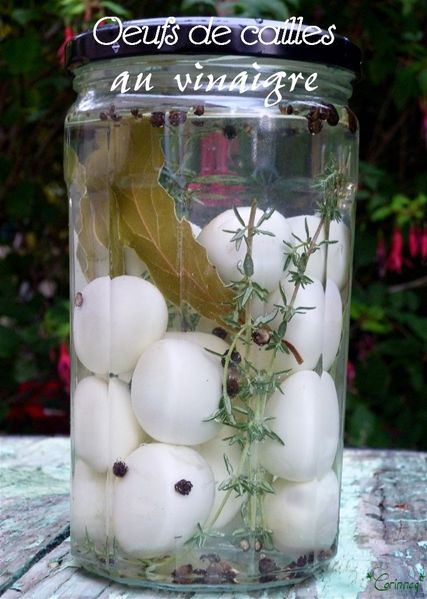 Petits oeufs de cailles au vinaigre - 🥗 La Cuisine de Coco 🍜