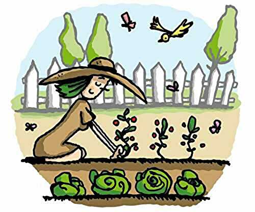 Préparation de la terre - 🥗 La Cuisine de Coco 🍜